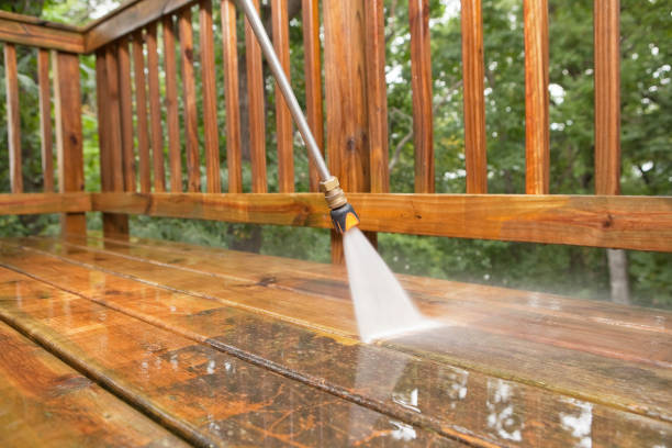 Best Dumpster Area Cleaning  in Nd Lake, WI